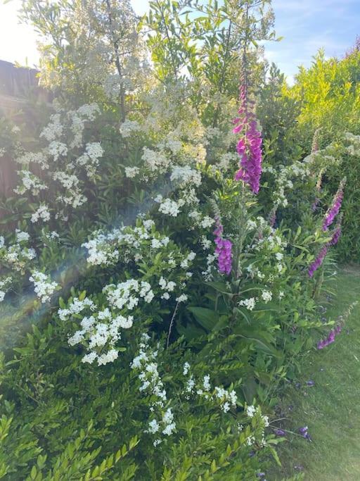 Cosy House Rural Setting Villa Lickey End ภายนอก รูปภาพ